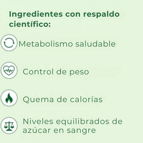 MOTO metabolismo